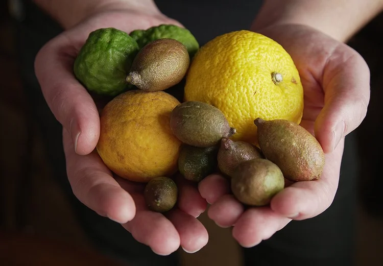 Lemons